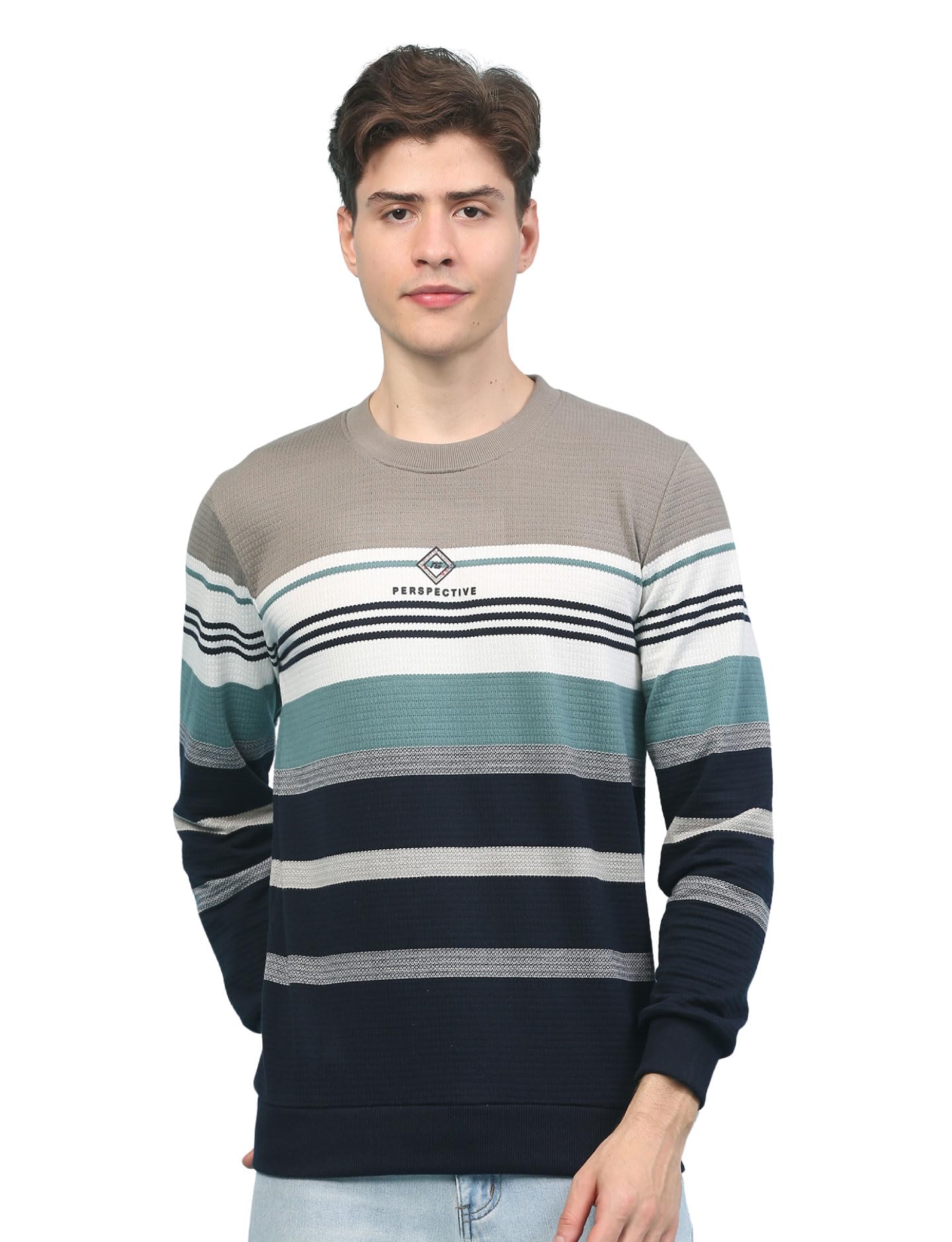 nexgen club Men's Sweatshirt Stripe Pullover Crew Neck Full Sleeve Semi Formal Winterwear-picture-20