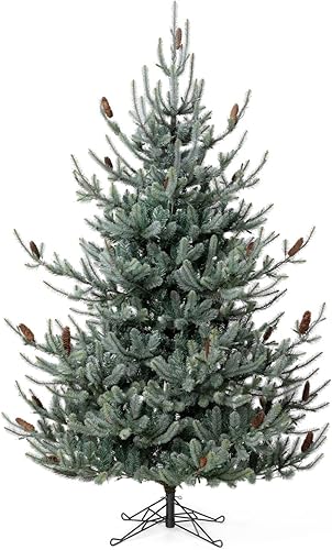 Park Hill Collection Park Hill XPQ82169 - Árbol de Navidad de abeto azul con verde