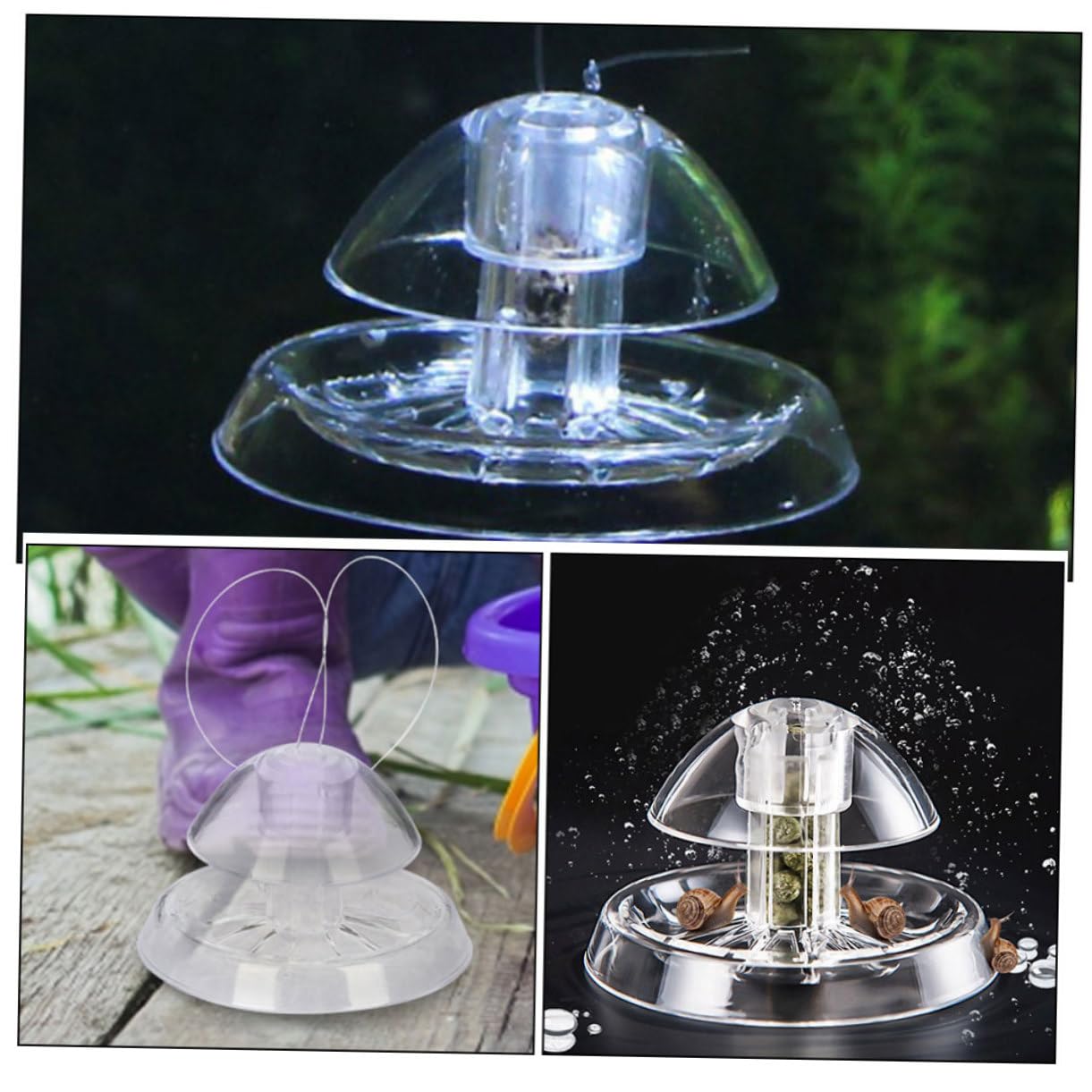 BESPORTBLE 12pièces Dispositif Transparent De Capture De Limaces pour Aquarium Attrapeur De Escargots Pratique pour Éliminer Nuisibles Réservoir Petit