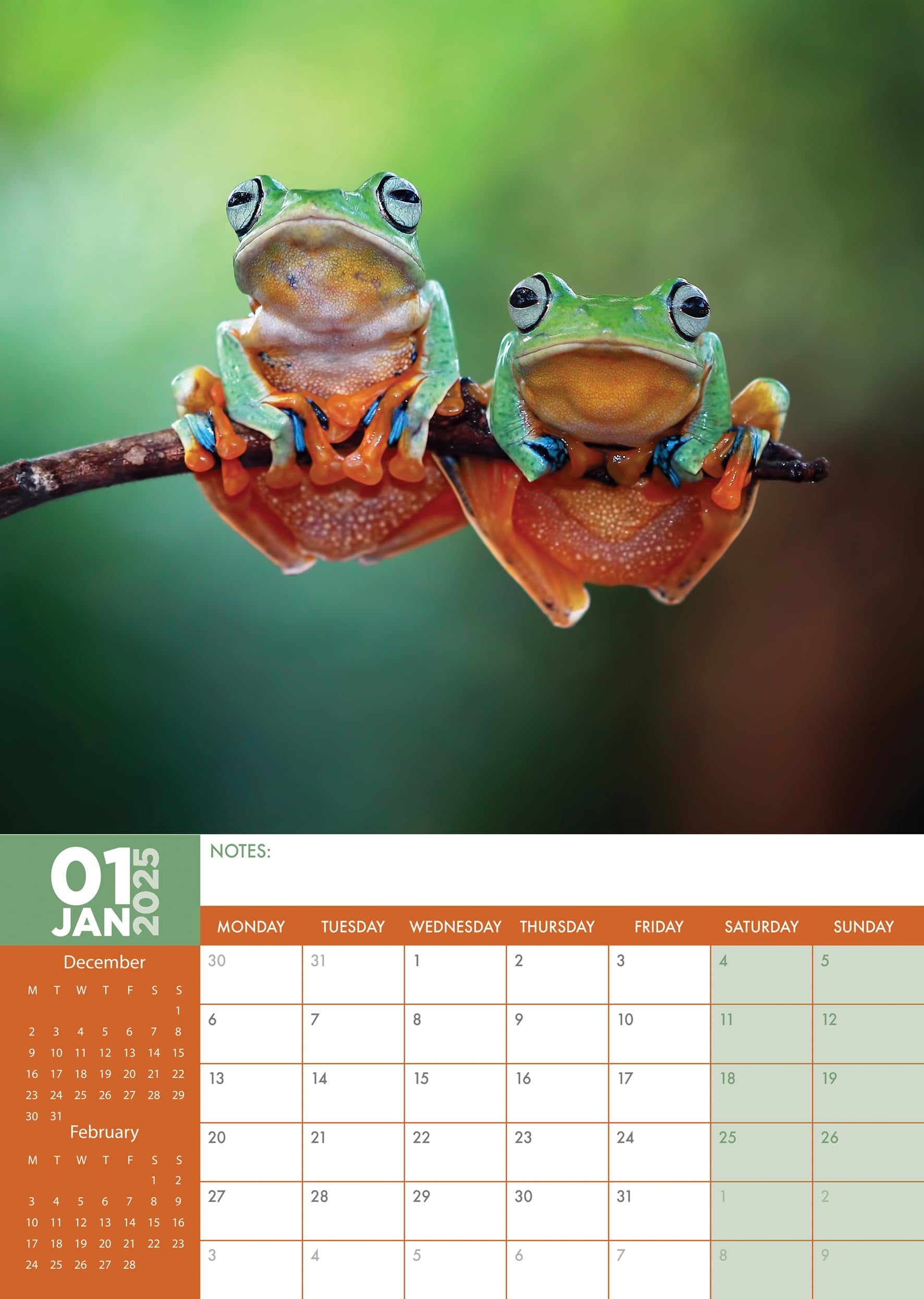 2025 Square Wall Calendar, Owls, 16-onth Anials Thee With 180