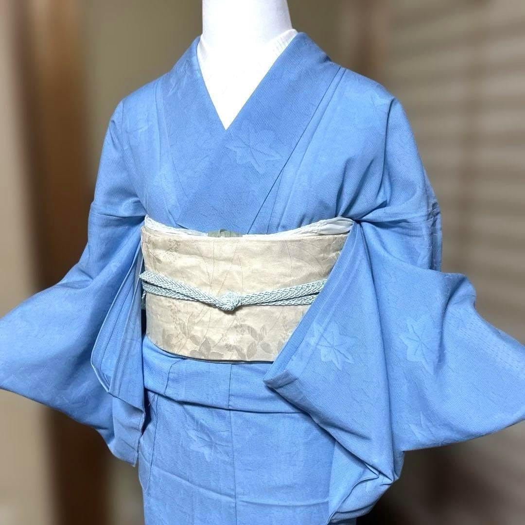 正絹 紋紗 色無地 薄物 空色 着物単品 地紋入り 裄66 着物 色無地