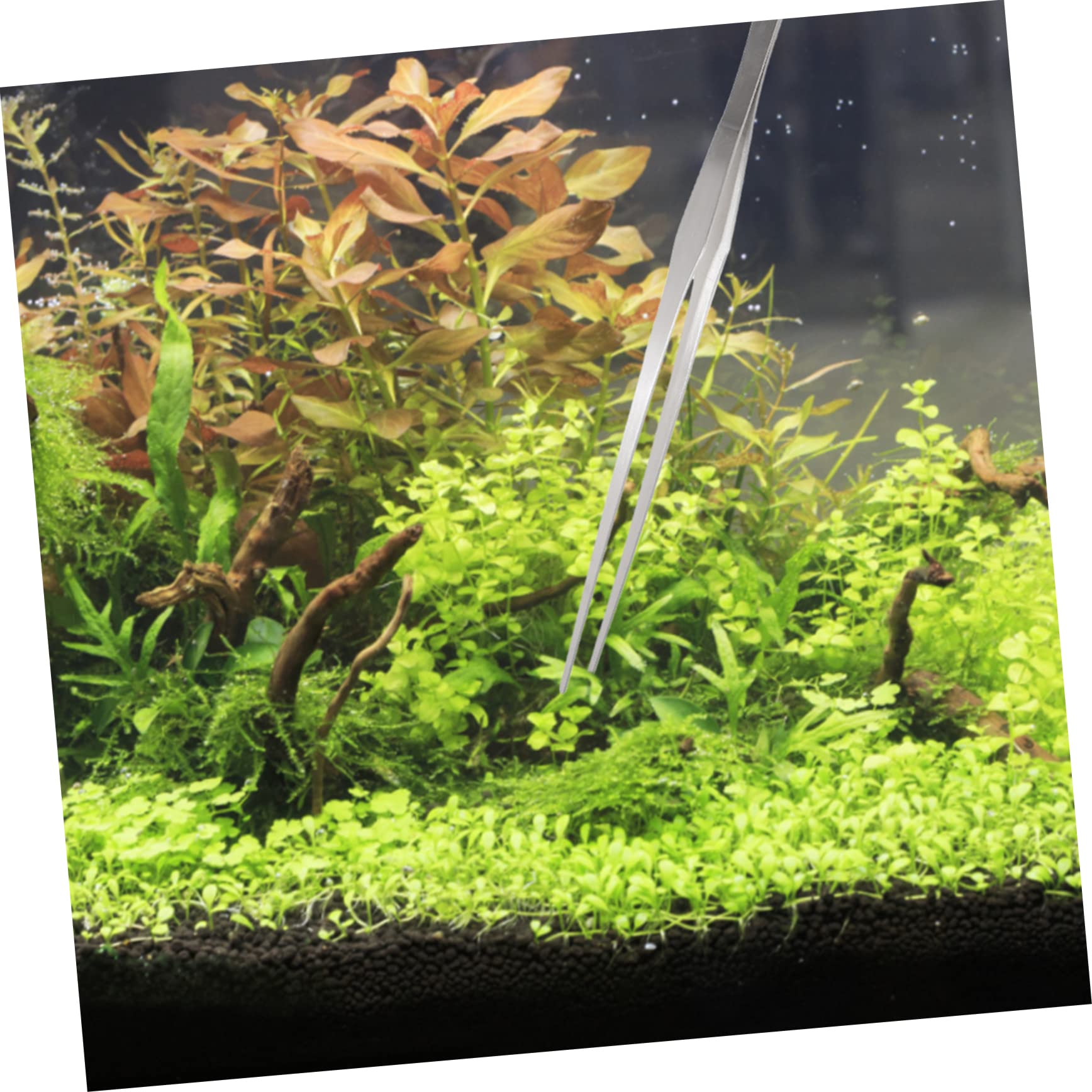 Aquarium Werkzeugset für Wasserpflanzen, 1 Satz Metall, Silber