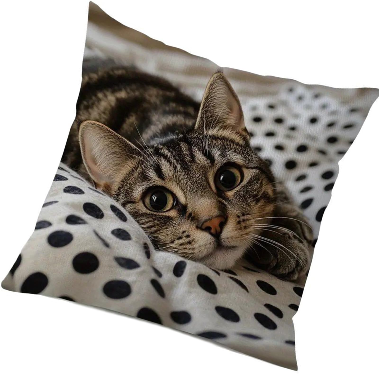 ZBIianxer Cats with Phone Pillow Case Plush Fabric 45x45cm Realistic Photo Print Cushion Cover for Living Room Sofa Couch Funny Cats Pillow Case