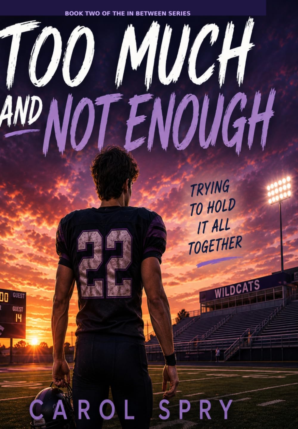 Too Much and Not Enough: Trying to Hold It All Together (In Between Series)