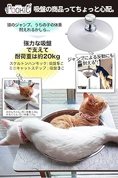 POOKIE 猫 窓 ハンモック スケルトン 窓ベッド ステップ【3点セット】 Amazon | POOKIE 猫 窓 ハンモック スケルトン 窓ベッド ミニ