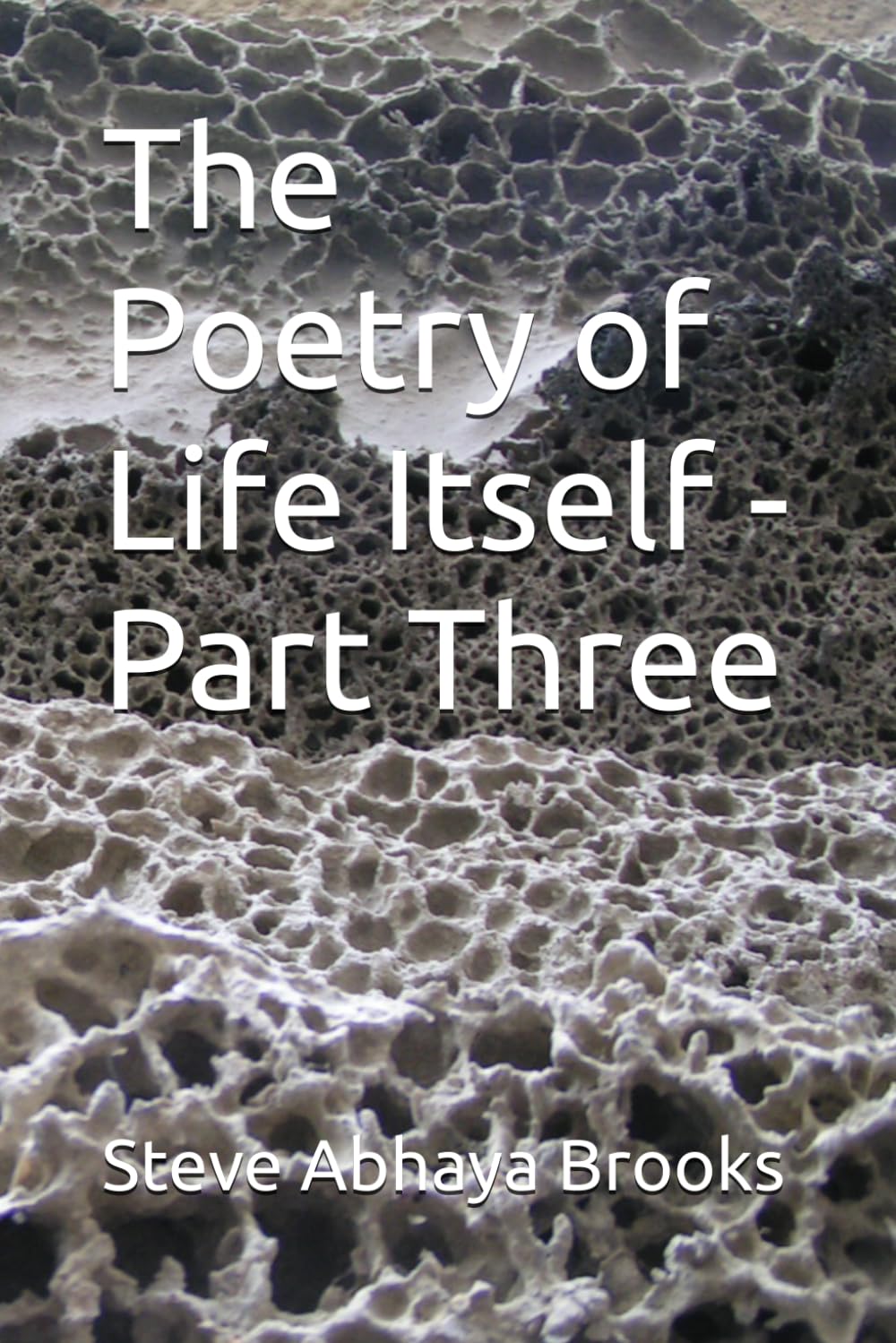 The Poetry of Life Itself - Part Three