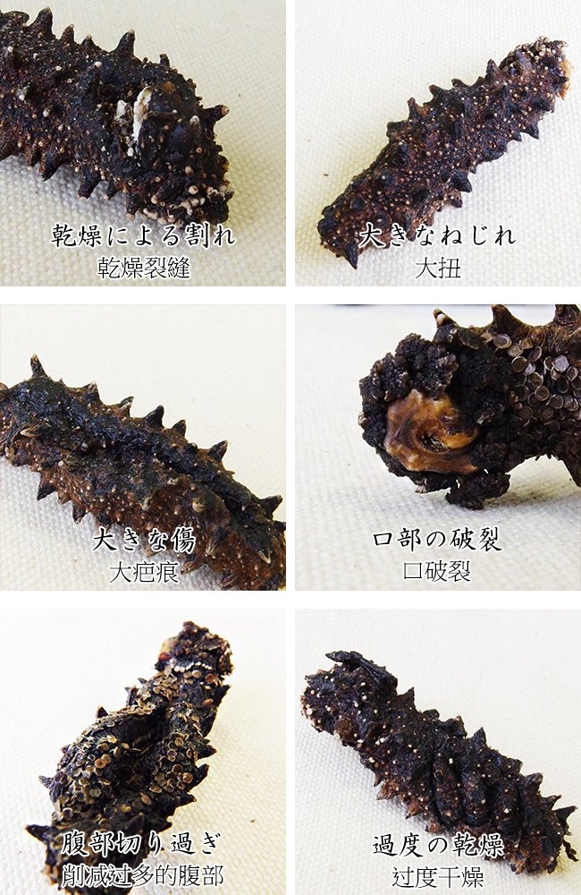 Amazon.co.jp: 乾燥ナマコ B級品 20g (Bランク) 北海道産乾燥なまこ 金 