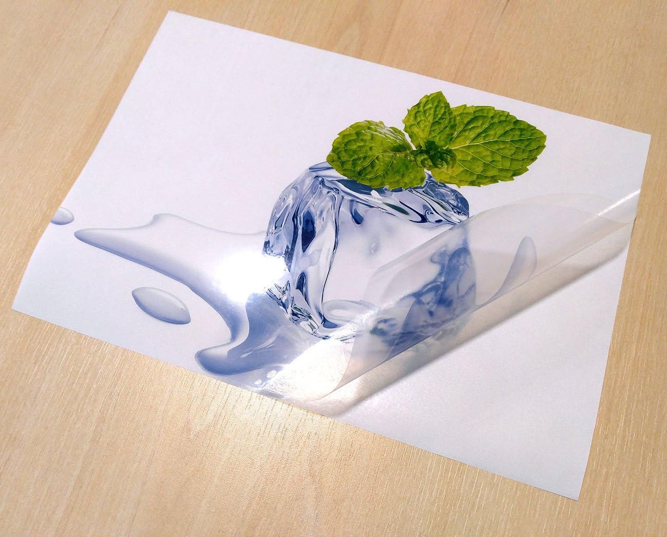 EVG10 Sheets A4 Clear/Transparent Glossy Self Adhesive Vinyl Stickers | High-Resolution Printing Paper for Inkjet Printer | Ideal Sticker Paper for Signs, Children's Stickers, and DIY Projects
