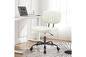 Cute Rolling Chair for Your Home