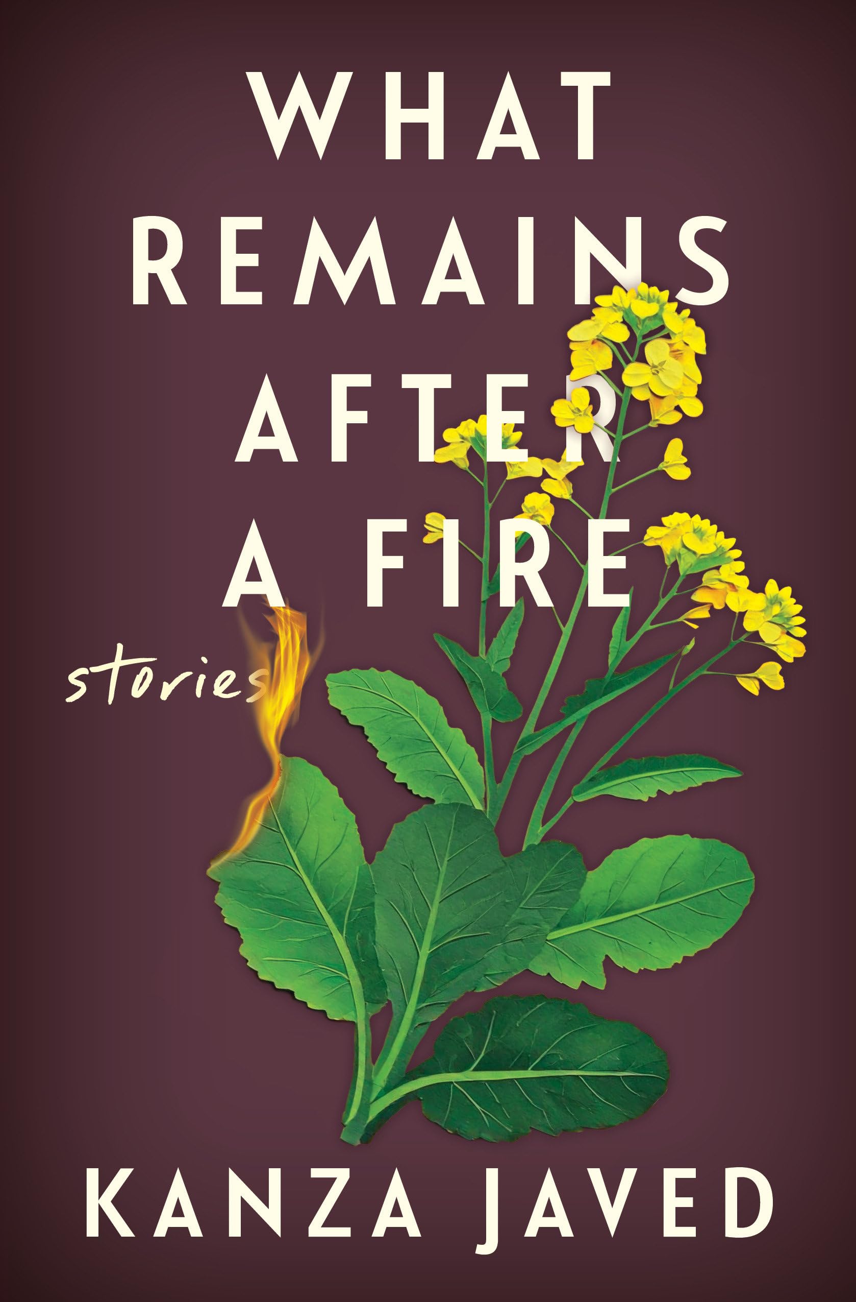 What Remains After a Fire: Stories