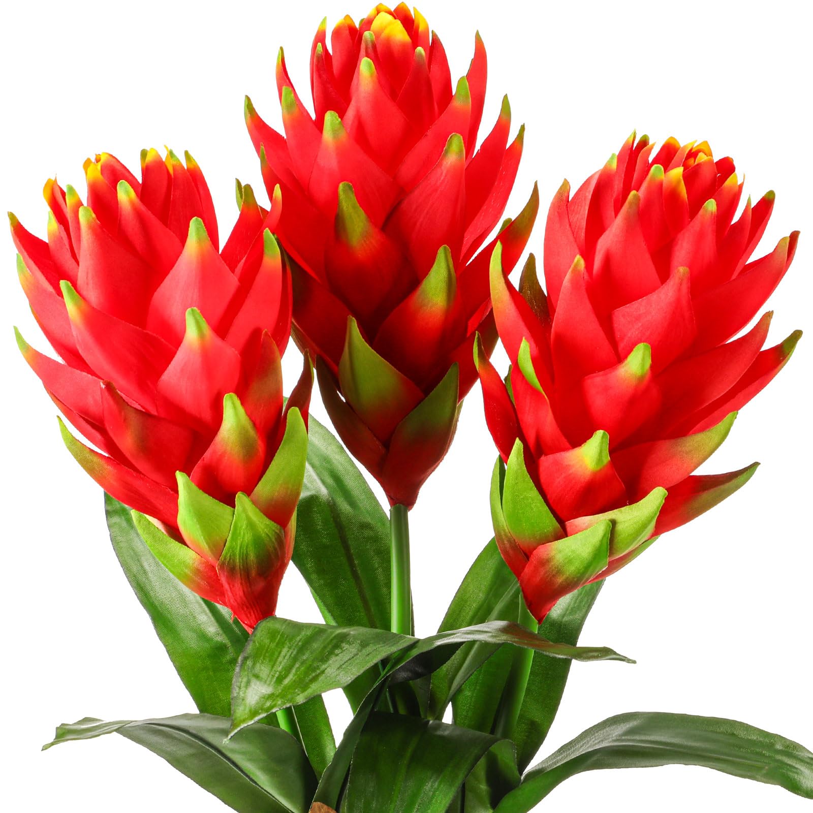 Photo 1 of Hotop 3 Pcs Red Bromeliad Artificial Tropical Flowers 16 Inch Plastic Tropical Imitation Plant Flower Fake Bromeliad Artificial Bouquets for Home Tabletop Room Indoor Outdoor Decoration