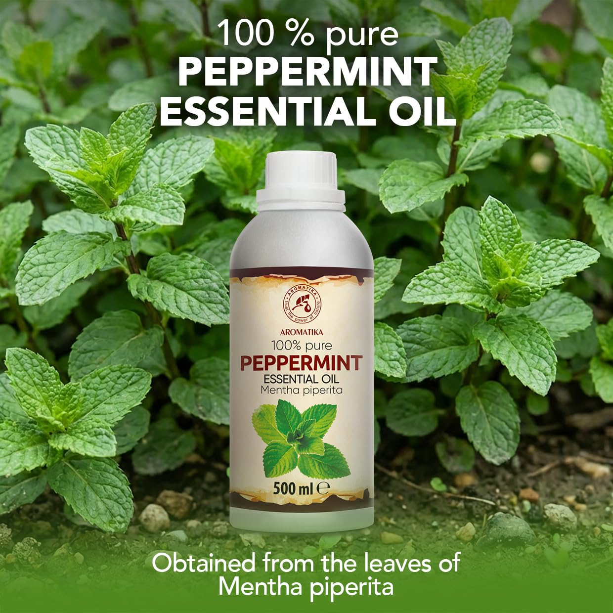 Olejek Eteryczny Mięty Pieprzowej - 500 ml - Mentha Piperita - Dyfuzory - Zapach - Aromaterapia - Nawaniania - Olejek Miętowy - Pielęgnacja ciała - Olejki Eteryczne - Sauna - Relaks - Kojący