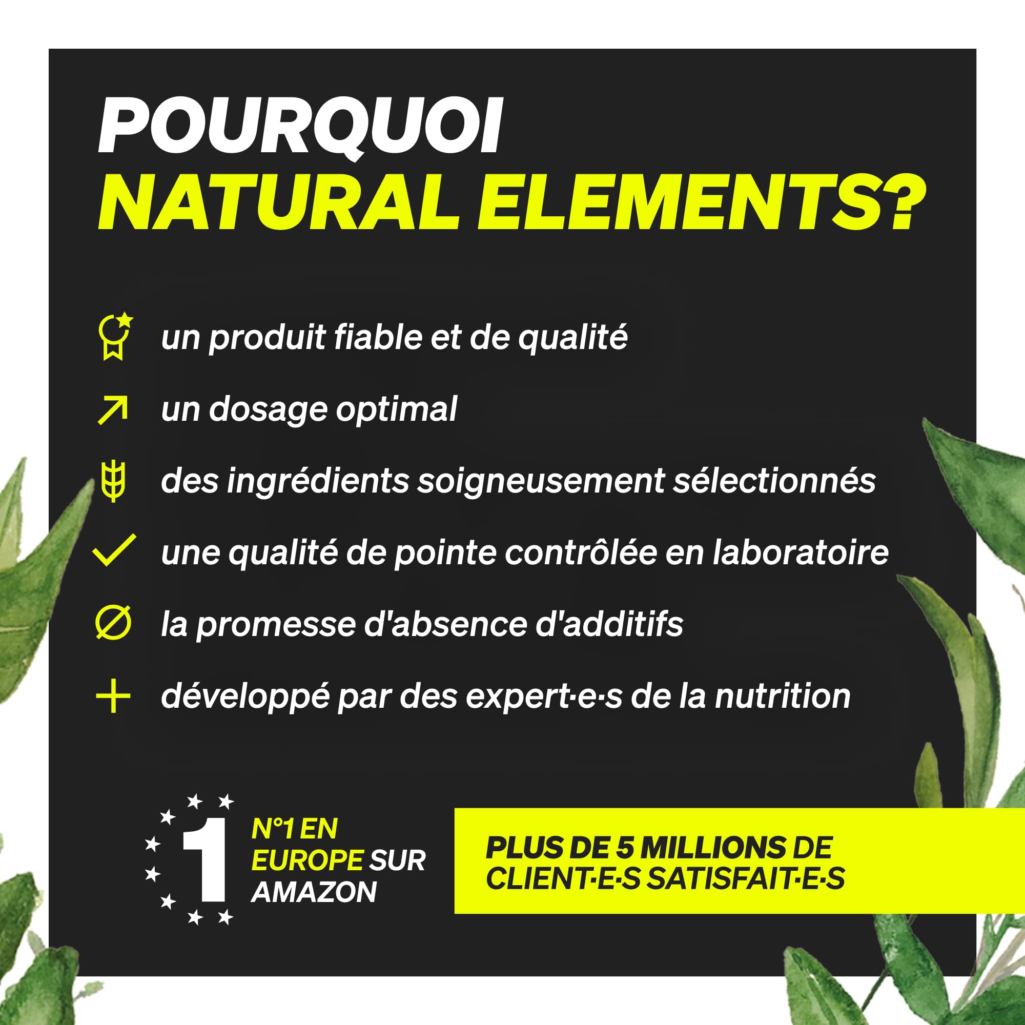 Omega 3 Huile de Poisson 2000mg – 365 Oméga 3 Gélules Hautement Dosées – Huile à Haute Concentration en EPA 360mg & DHA 240mg – Testé en Laboratoire et 100% Pur