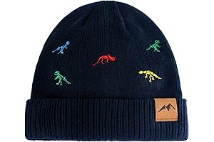 Dinosaur Beanie for Toddlers: A Cozy and Adorable Winter Essential