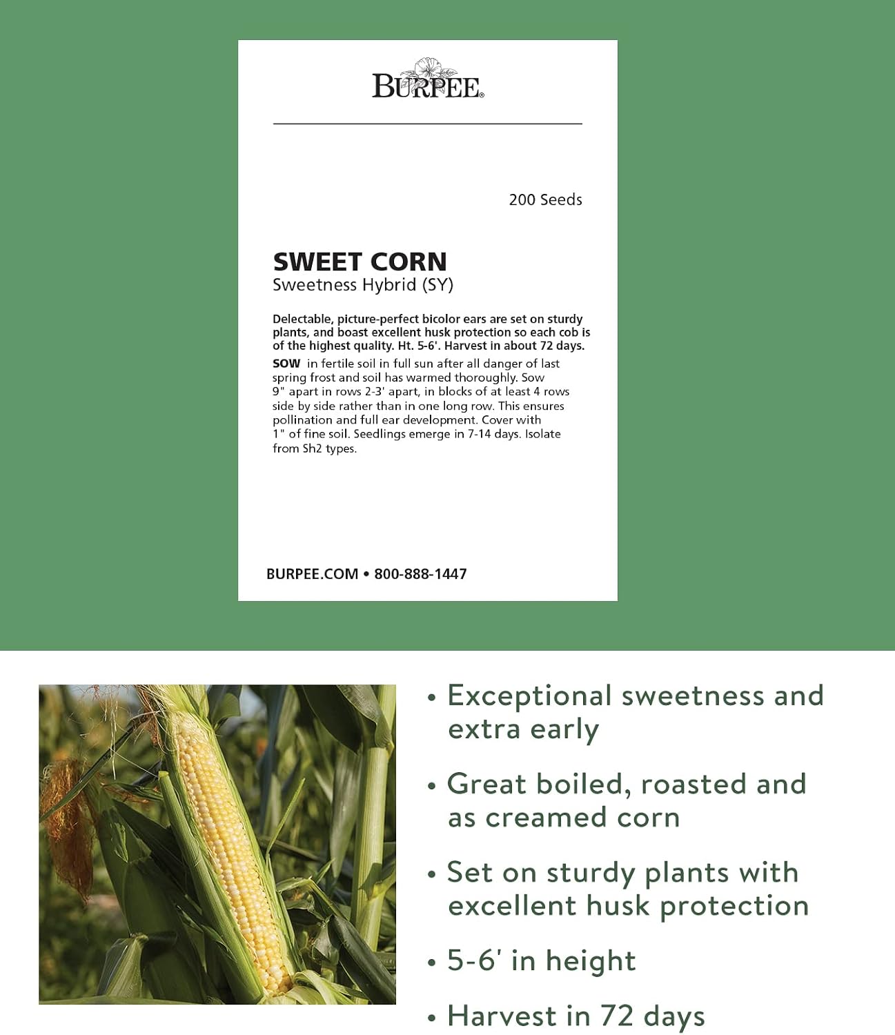 Burpee Sweetness Sweet Corn Seeds 200 seeds