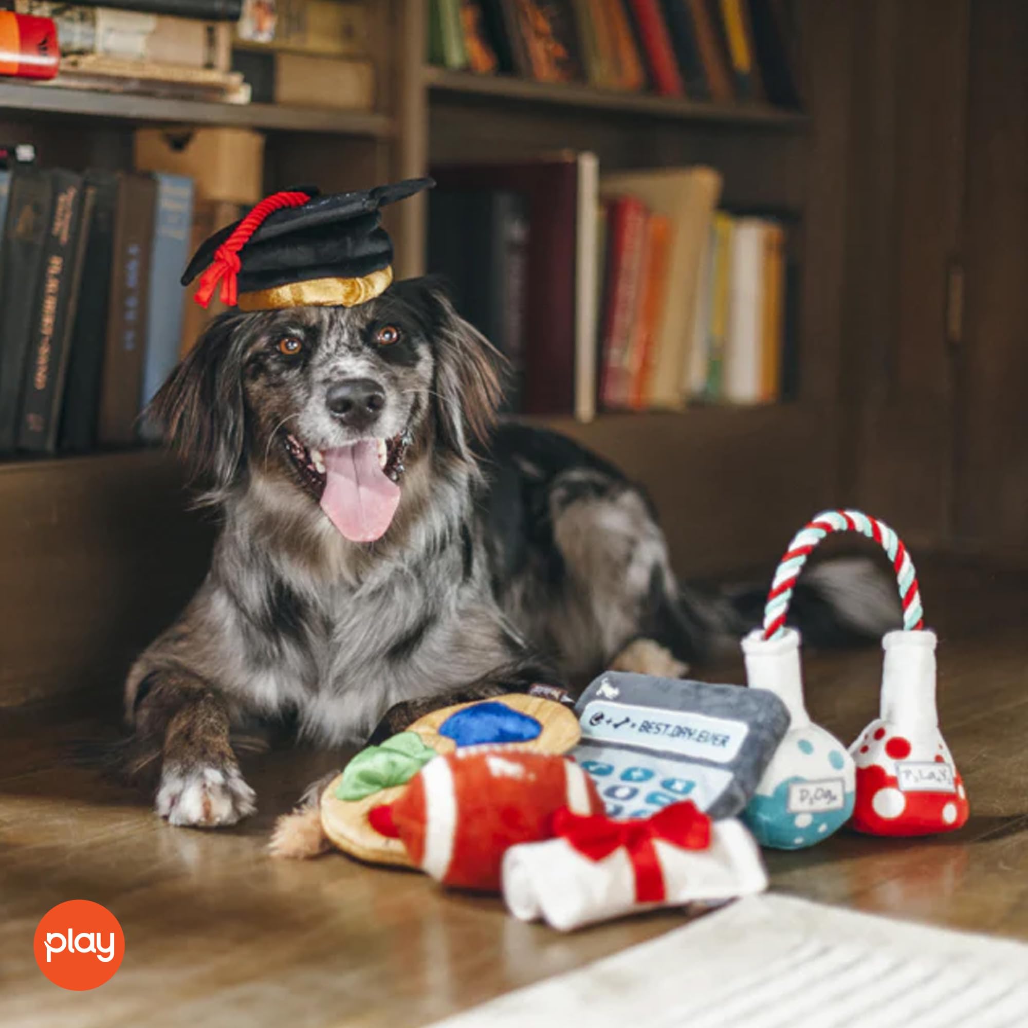 P.L.A.Y. PET LIFESTYLE AND YOU - Pluszowa zabawka dla psa - Back to School Collection - piłka do futbolu