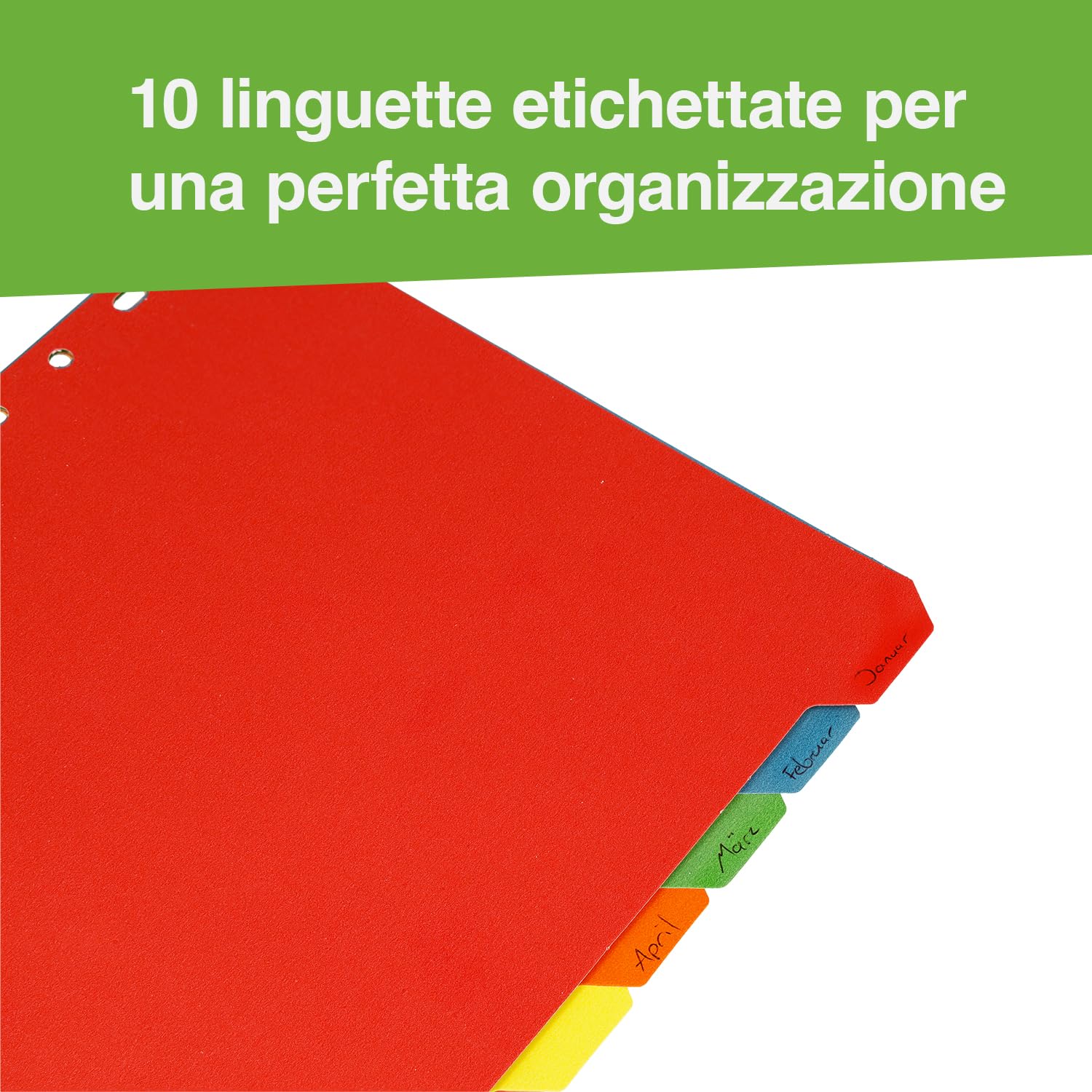 Westcott linguette per cartelle A4 divisori 10 pezzi colorate 160g/m² con perforazione Euro