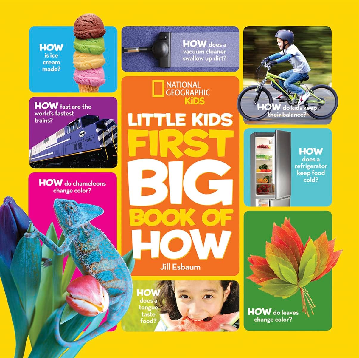 Little Kids First Big Book Of How