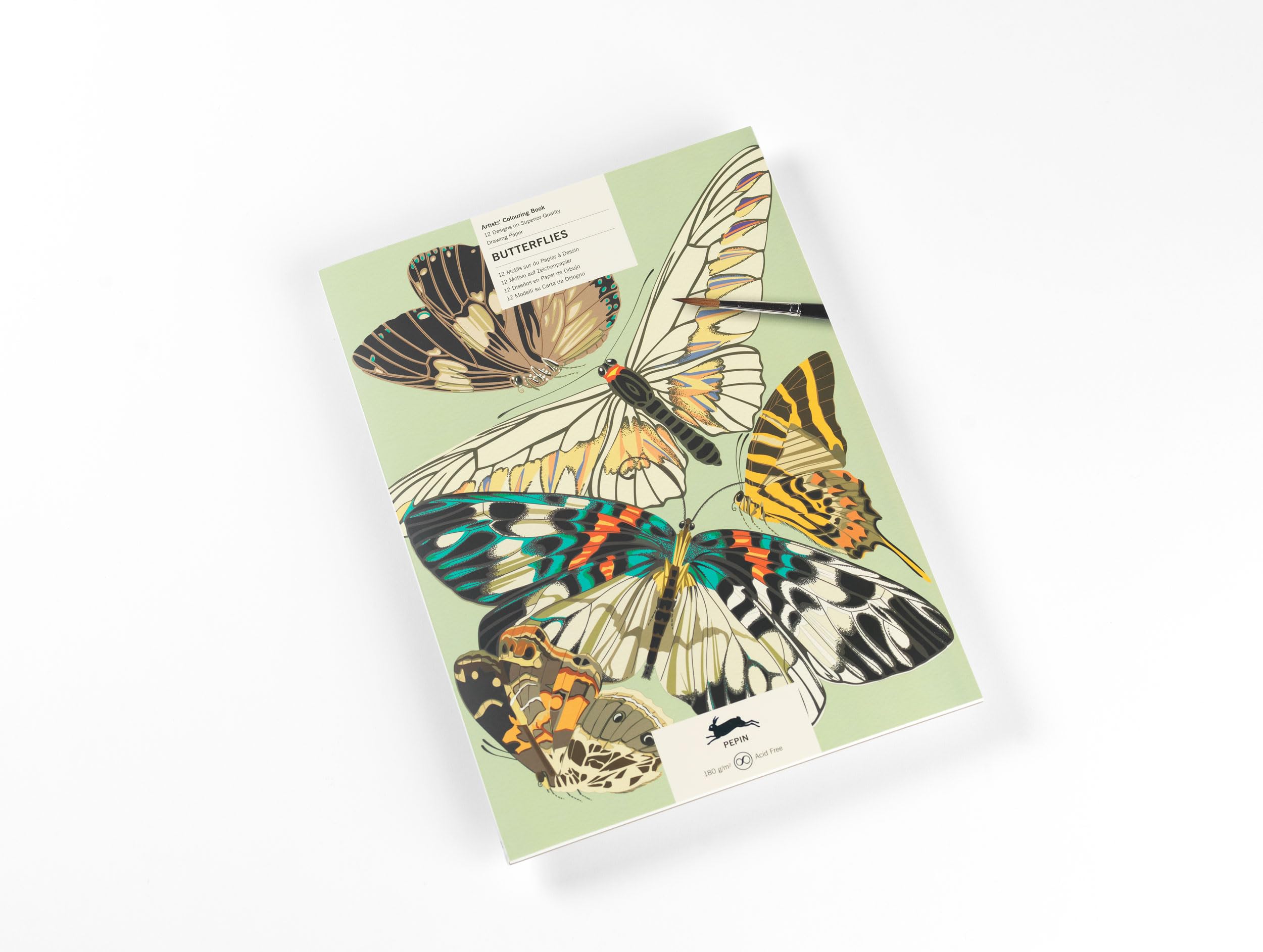 Butterflies: Artists' Colouring Book