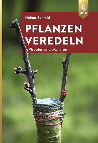 Pflanzen veredeln: Pfropfen und Okulieren