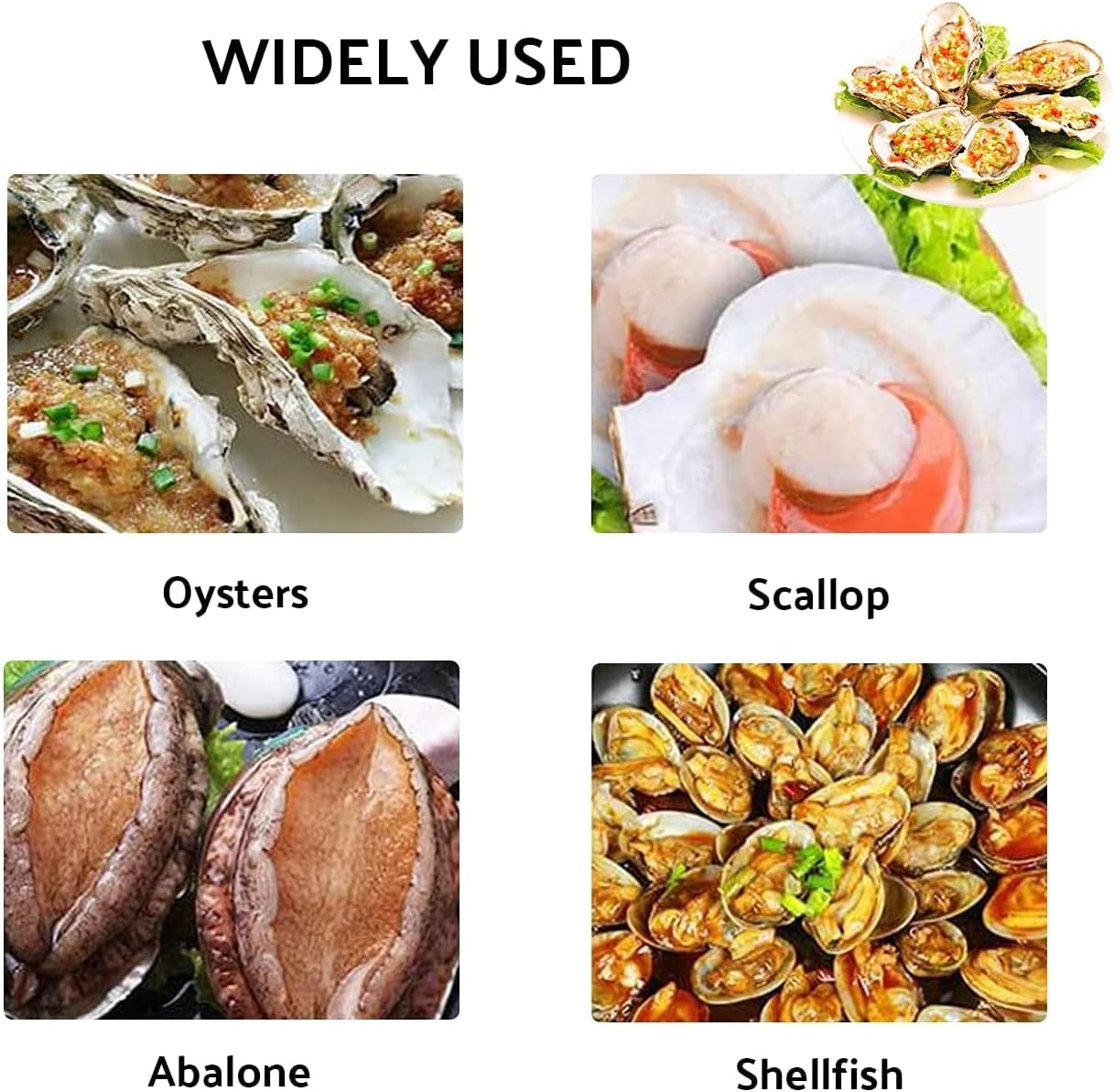 Oyster Sheller Tool, Stainless Steel Professional Oyster Opener with Non-Slip Handle Base, Suitable for Seafood Market/Home