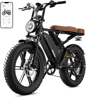 TST E Bike 20" Elektrofahrrad Erwachsene mit Fettreifen | 250W Motor 48V 15AH Akku, 25km/h 60km Maxi Reichweite, 7-Gang All-Terrain, Federung, LCD-Display & App-Steuerung