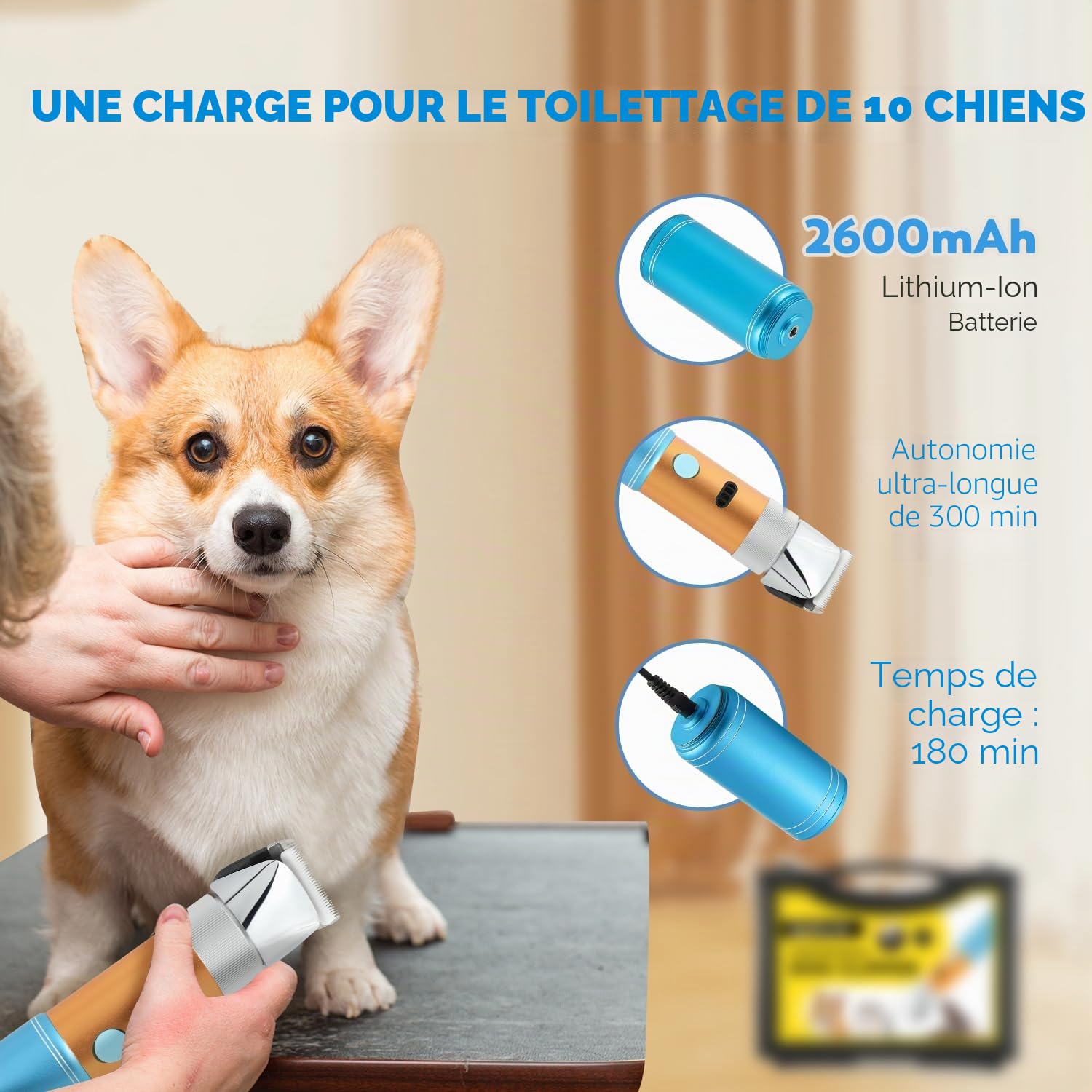 CGOLDENWALL 400W Tondeuse Chien Tondeuse à Moutons Électrique Rechargeable Tête de Coupe Peigne Limite Intégrés Amovible 5H en Veille Faible Bruit (3MM+6MM) | Professionnelle, <50dB, 5h Veille, Rechargeable, Anti-Poils Longs, Tous Poils