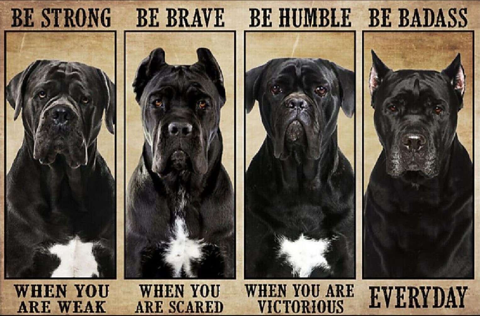 Targa In Metallo Personalizzata 'Cane Corso' | Insegna Decorativa 20x30 Cm Con Frase 'Be Strong Be Brave' | Regalo Per Amanti Dei Cani