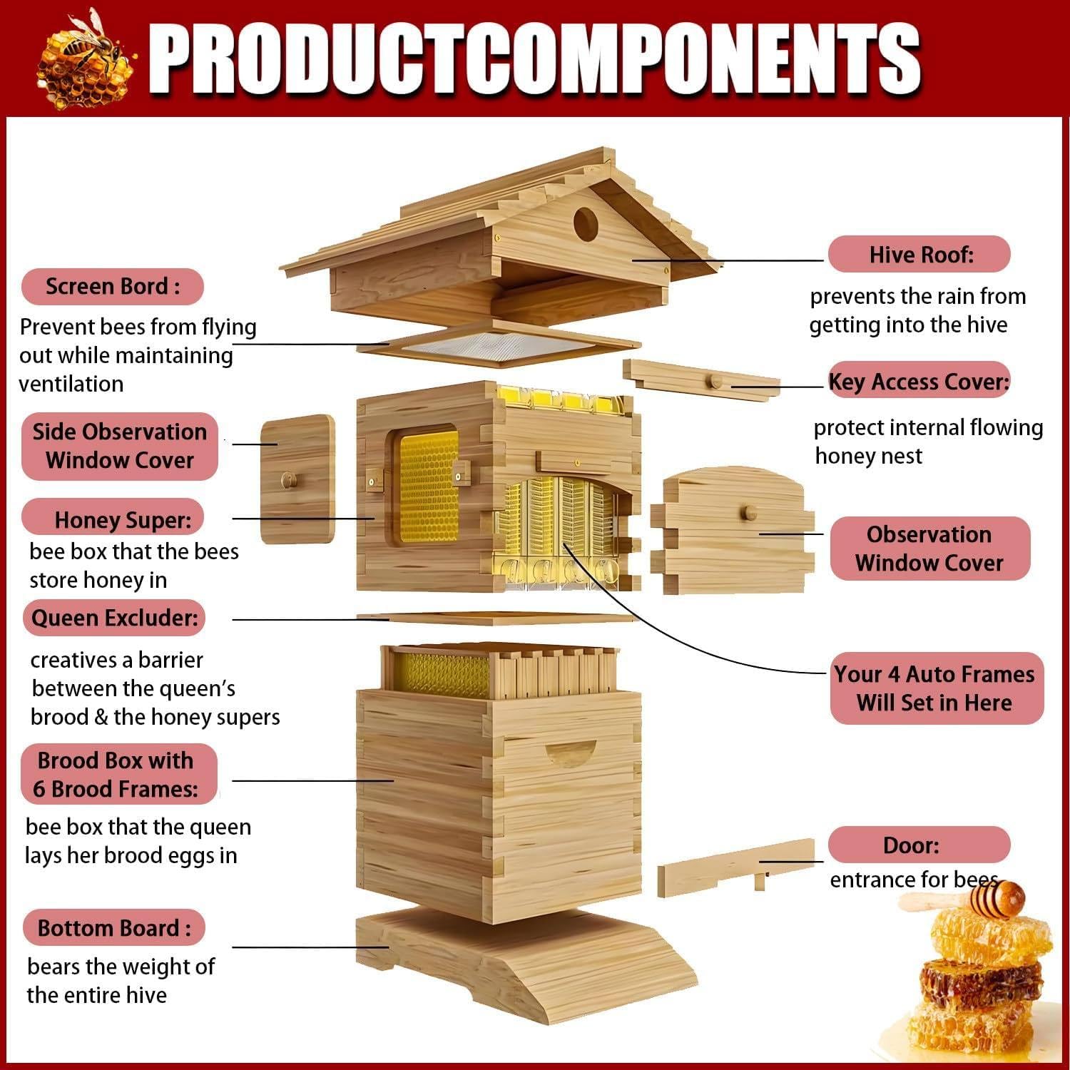 Kit de iniciación de colmena de abejas, recubierto de cera de abejas con marcos y base encerada, juego de caja automática de colmena para una fácil apicultura, completo para principiantes