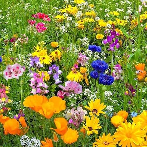 flower seeds