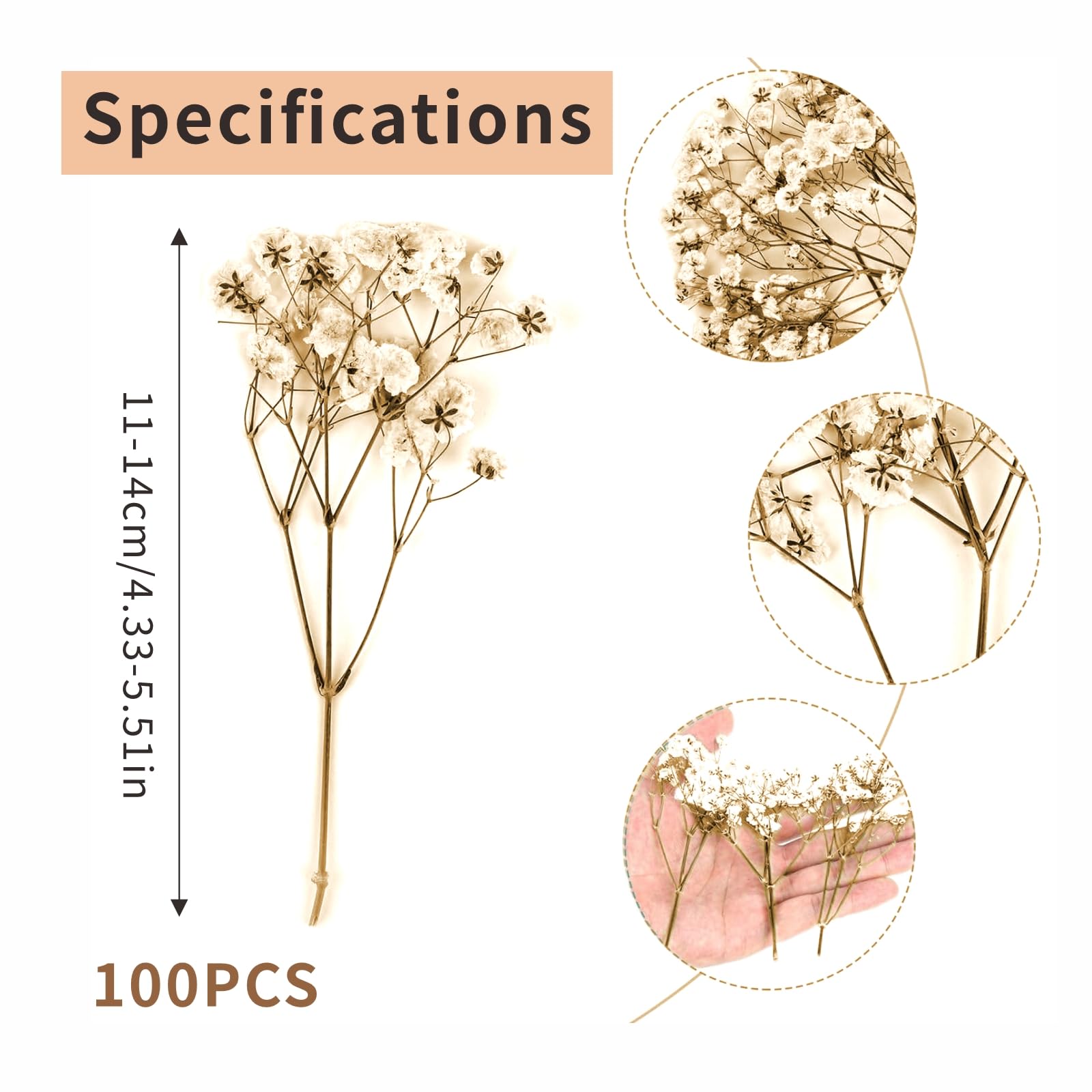 100PCS Dried Pressed Flowers, Natural Dried Gypsophila Mini Breath Flowers for Diy Crafts Candle Resin Jewelry, Nail Art - Image 2