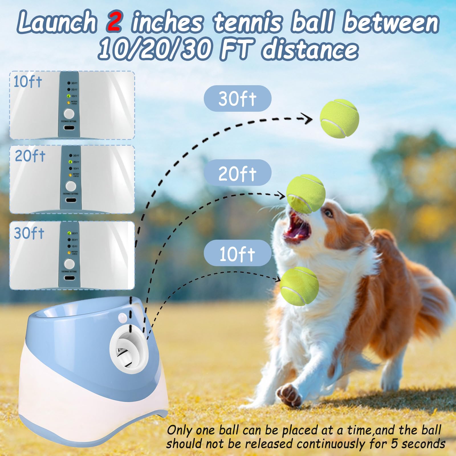 HAMON Lanzador de bolas automático para perros, máquina de lanzamiento de bolas para perros con 6 pelotas de tenis, máquina interactiva para perros pequeños y medianos, distancia de lanzamiento entre