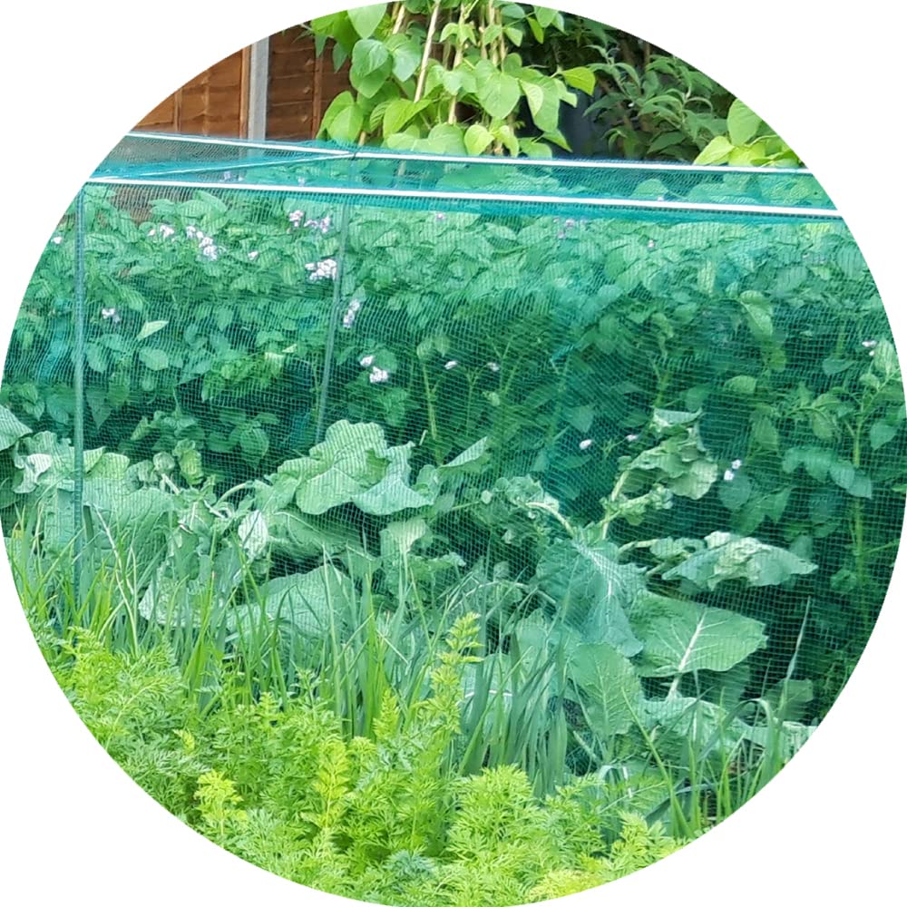 Vegetable Cage H500mm x 1.8m x 3m Complete with Netting, Pegs and Clips Green Soft Butterfly