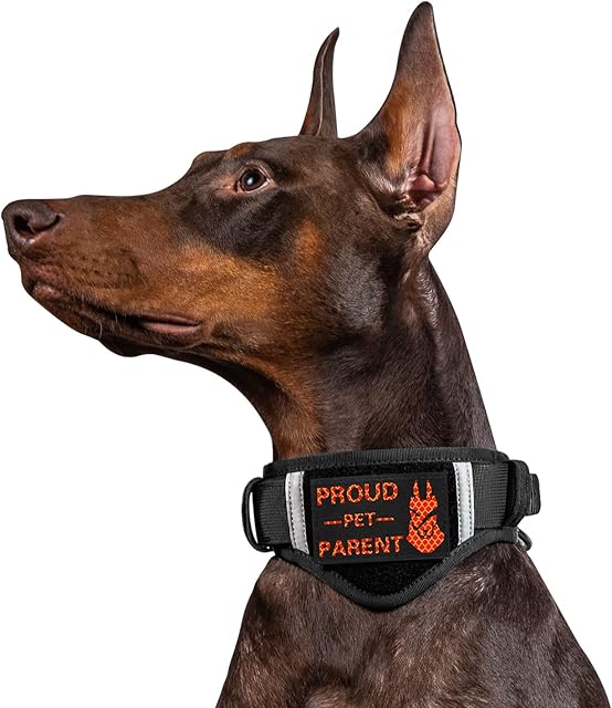 OneTigris Adjustable Dog Collar, Tough Dog Collars Military Heavy Duty Tactical Collar Metal Buckle with Control Handle for Dog Training (L, Black)