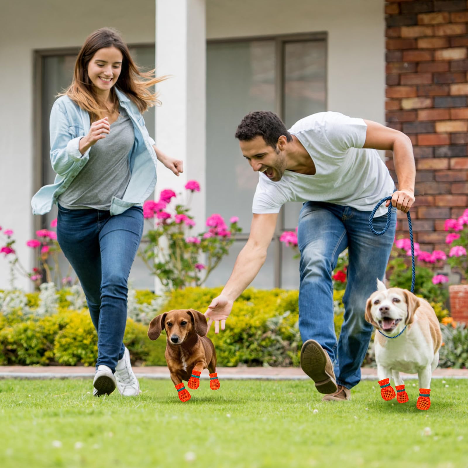 Scarpe Estive per Cani, 4 Pezzi, in Rete, Antiscivolo e Traspiranti, Protettive per Superfici Calde, Erbose e Bagnate Attenzione: non scegliere la taglia che usi abitualmente
