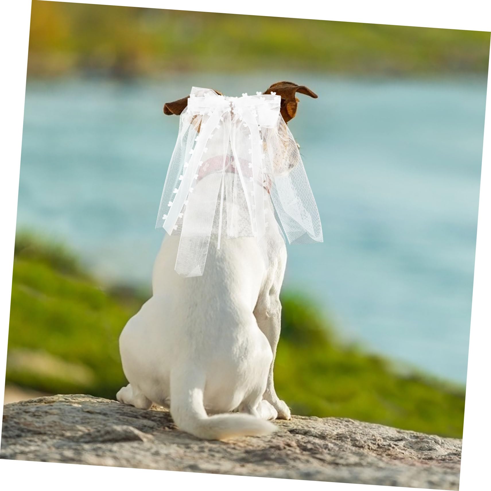 Velo da Sposa per Animali Domestici Fiocco per Gatto Copricapo Accessorio per Cane Matrimonio con Clip