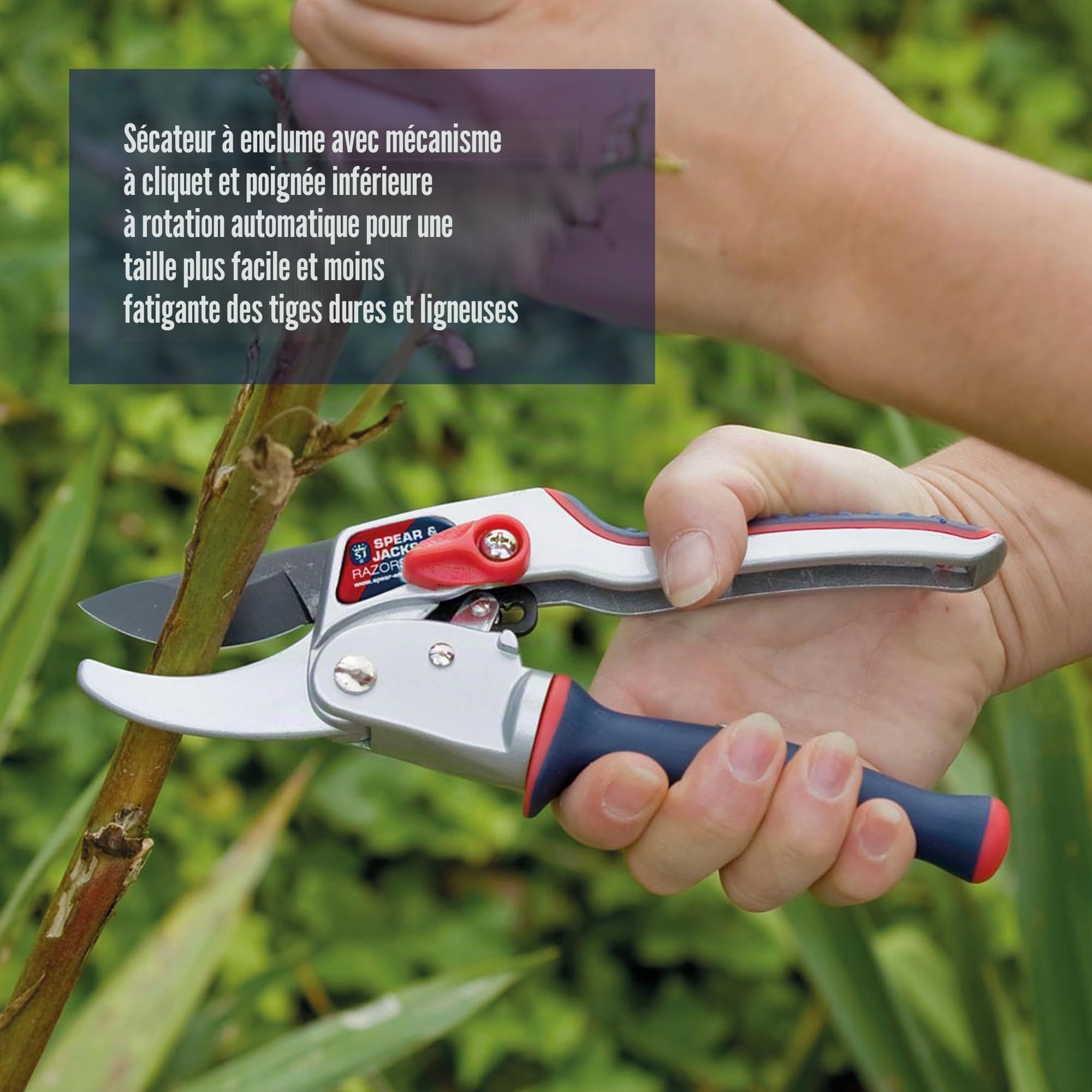 Spear & Jackson 6458RS Sécateur à enclume à crémaillère Razorsharp
