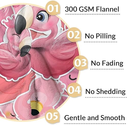 Miniatura 4 de Manta de flamenco de regalo, 40 x 50 pulgadas, bonita manta para mujeres y niñas, mantas suaves y mullidas rosas para cama, sofá y sala de estar