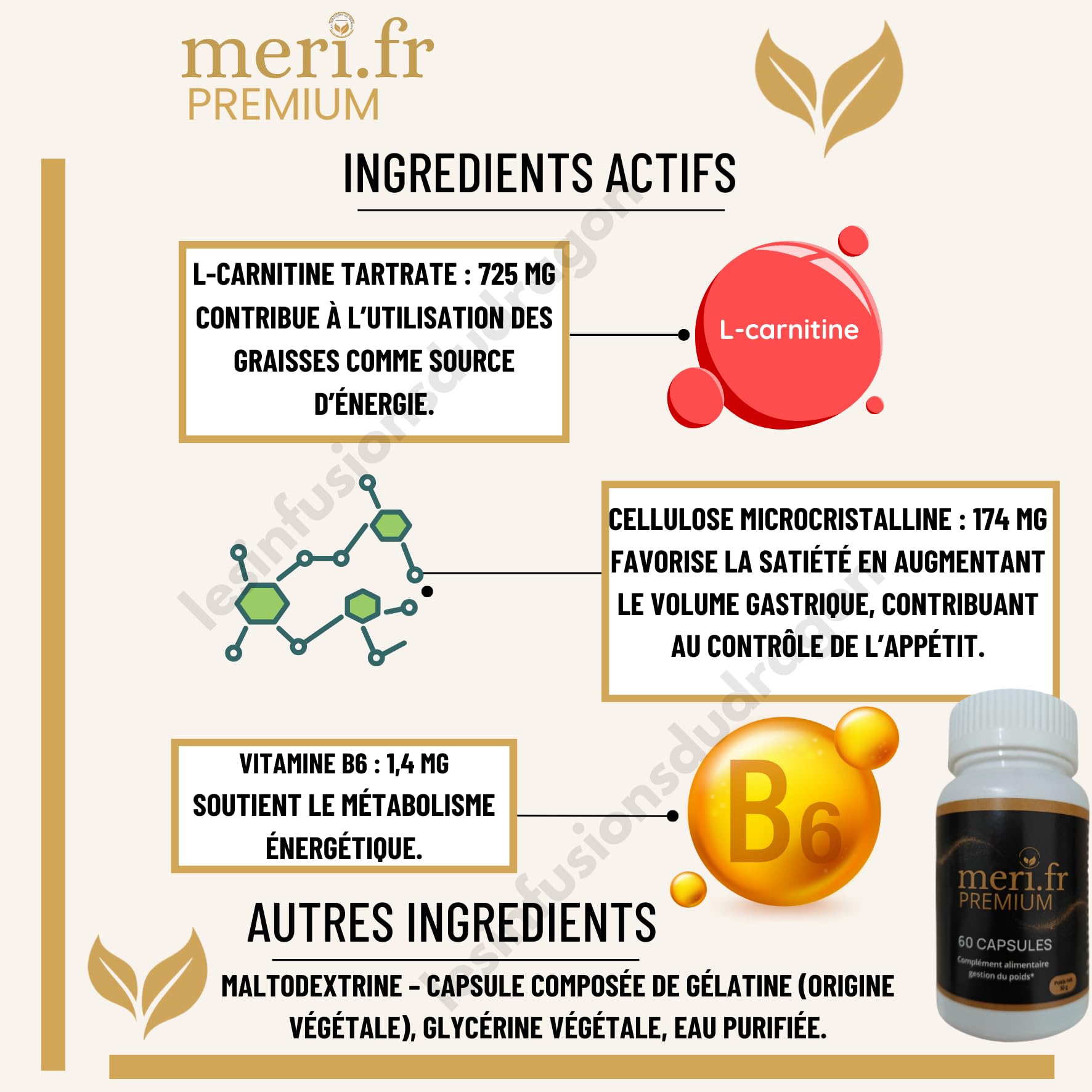 Meri.fr PREMIUM – Nouvelle Formule Efficace à la L-Carnitine | 60 Gélules Naturelles | Aide au Contrôle de l’Appétit & Métabolisme des Graisses | Expédié depuis la France