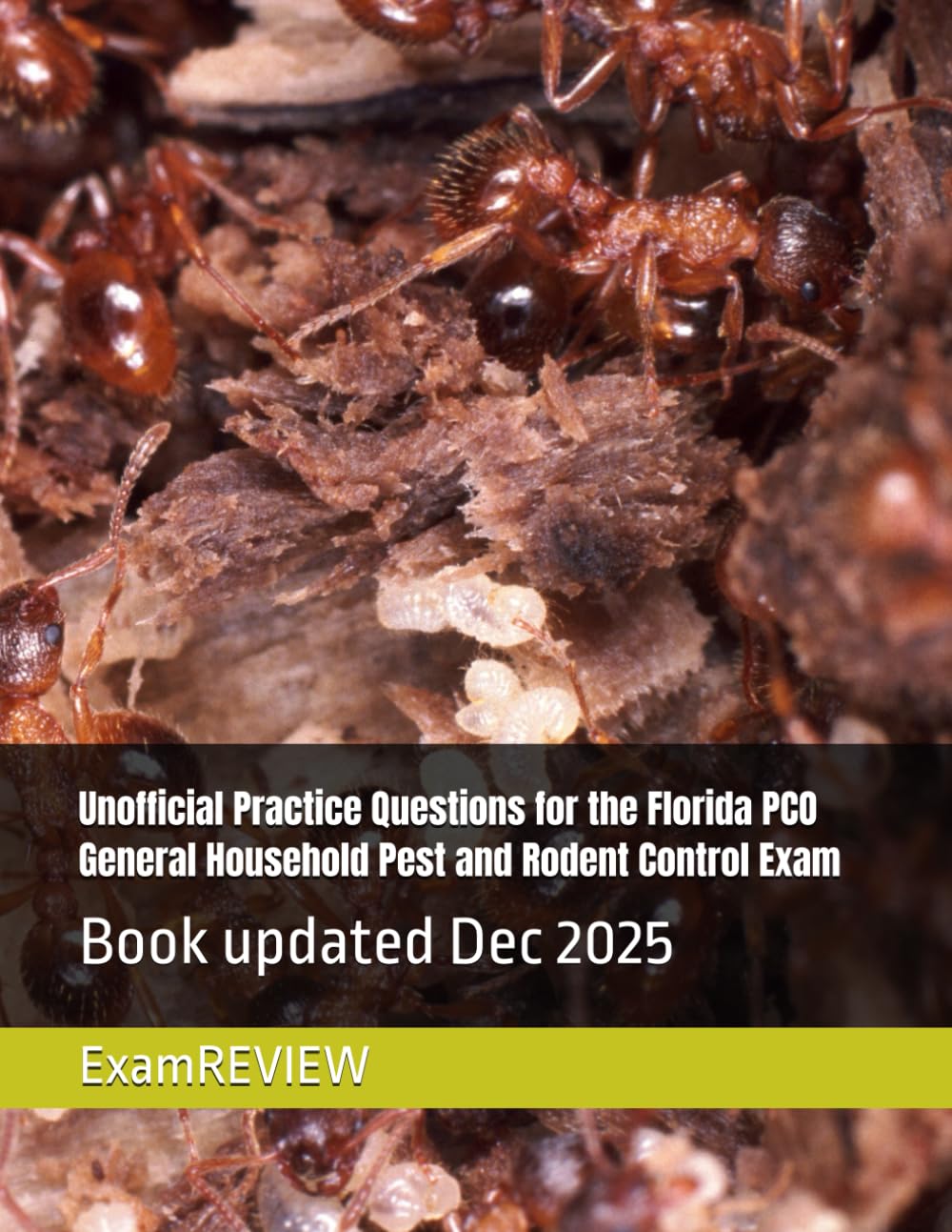 Unofficial Practice Questions for the Florida PCO General Household Pest and Rodent Control Exam