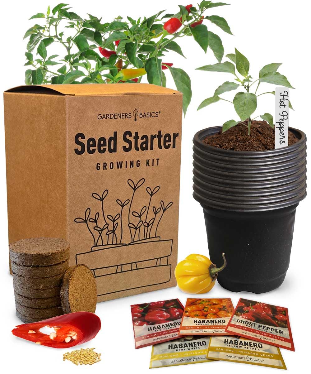 Hot Pepper Growing Kit