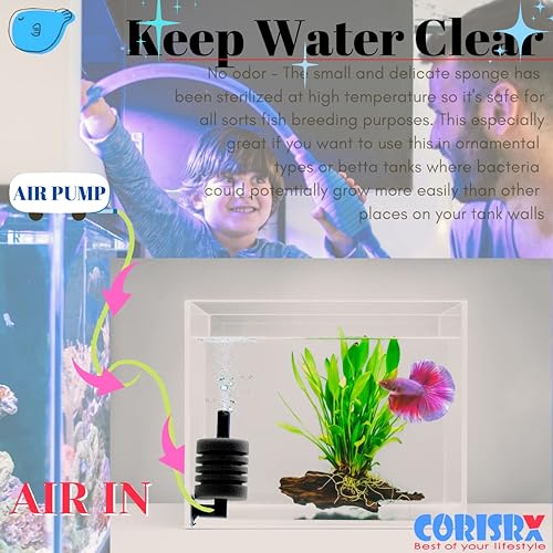 Miniatura 4 de Filtro de esponja para acuario, juego de lujo para cría de alevines, filtro de esponja fina pequeña para tanque de peces de hasta 10 galones, mini