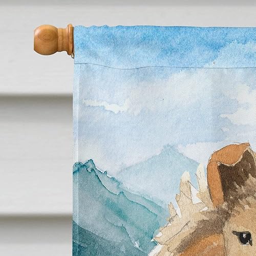 Miniatura 3 de Caroline's Treasures CK2525CHF - Bandera de casa con diseño de flores de montaña lisa para porche, manga grande, poste decorativo para colgar en la