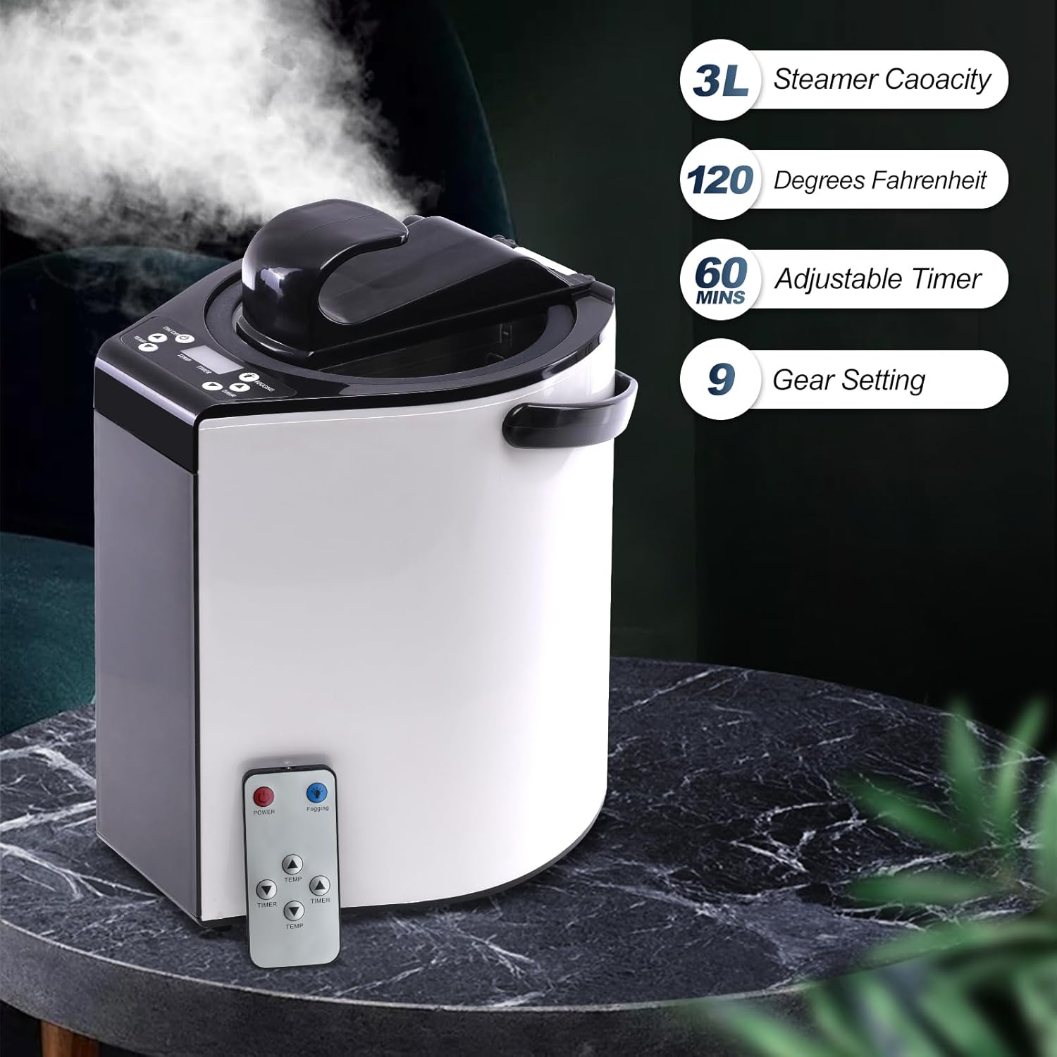 Sauna Steamer, Portable Steam Sauna Machine, 3L Stainless Steel Pot Generator, Home SPA Fumigation Steam Machine with Touch Button, Timer Display and Remote Control