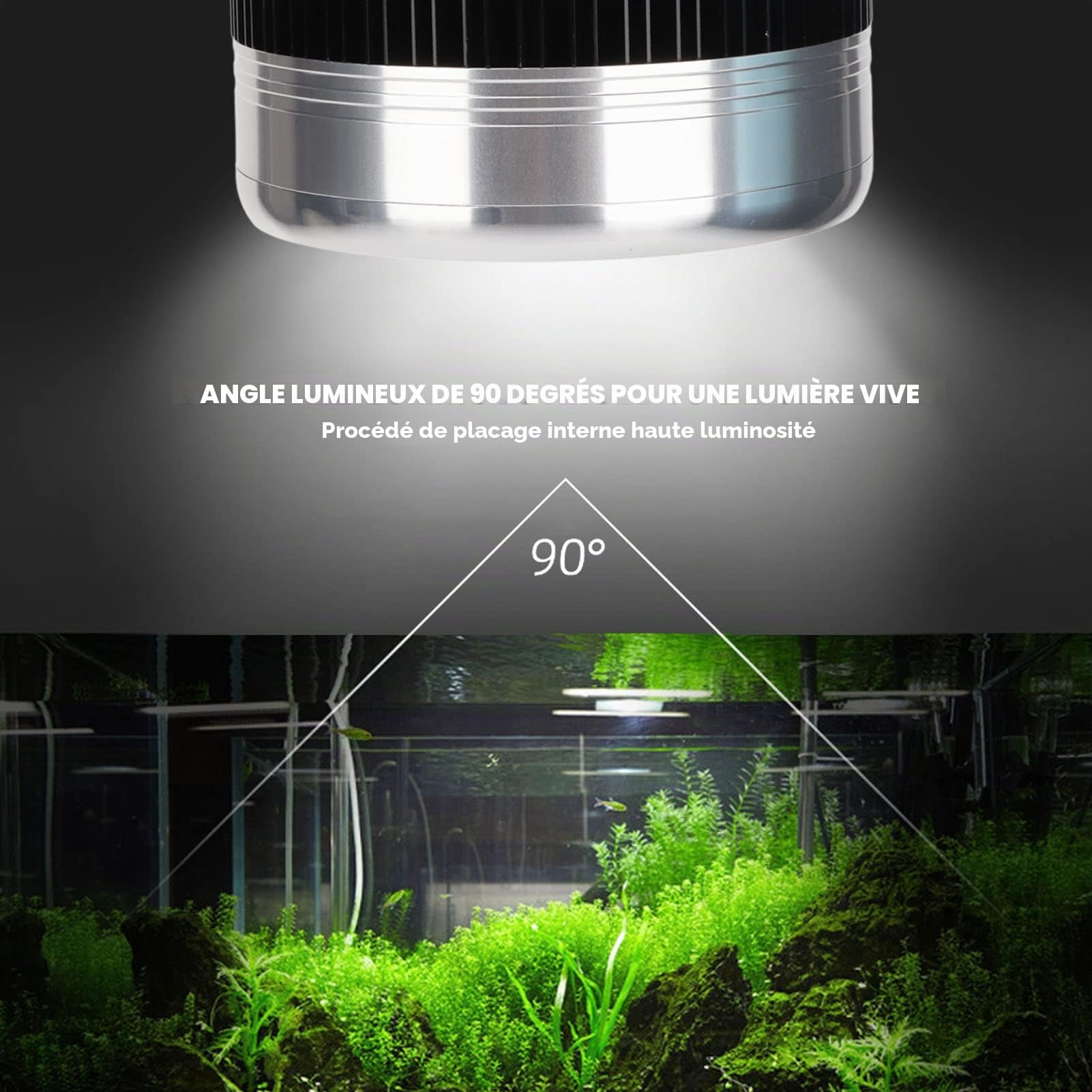 flexman Lampe suspendue pour aquarium, lumière LED COB haute luminosité à spectre complet pour éclairage d'aquarium à spectre complet COB