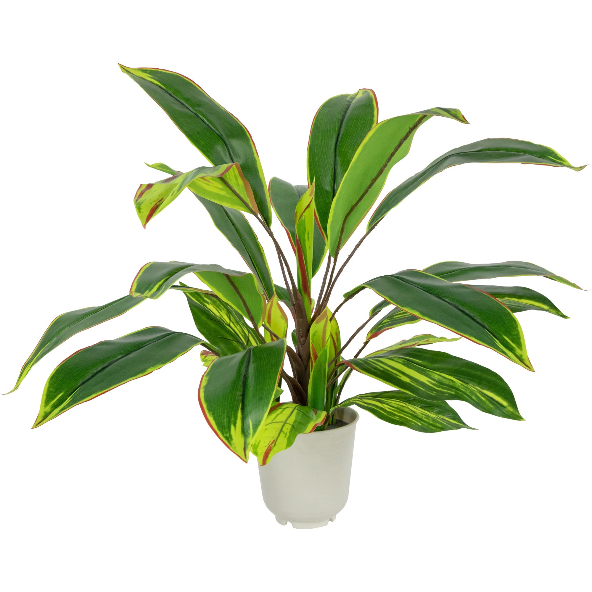 Northlight Real Touch™ Artificial Dracaena Plant in a Off White Pot - 25