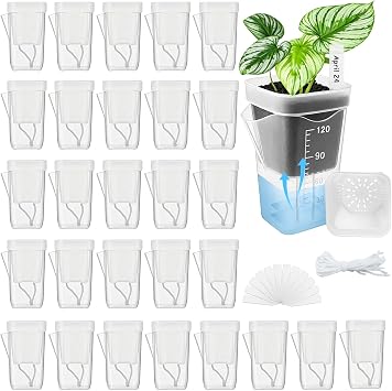 30 Pack 2" Small Self Watering Pots for Indoor Plants with 30 Plant Label Mini Clear Plastic Planters with Water Level and Drainage Holes for Propagation, Succulents,and African Violet