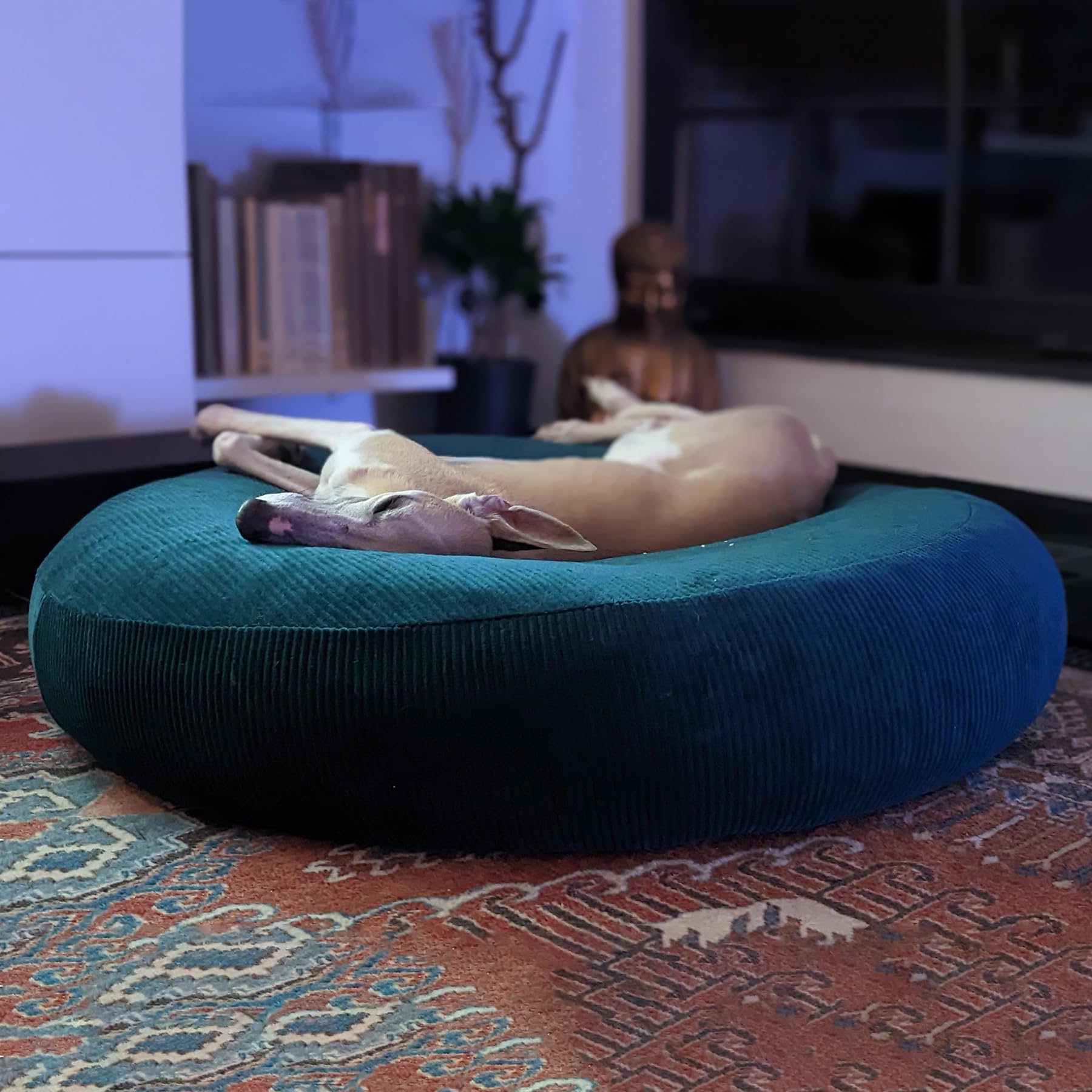 EDEL&SCHNELL Hundebett Wechselbezug dunkelgrau, Ersatzbezug für rundes Hundebett 65 cm aus weichem Cordstoff
