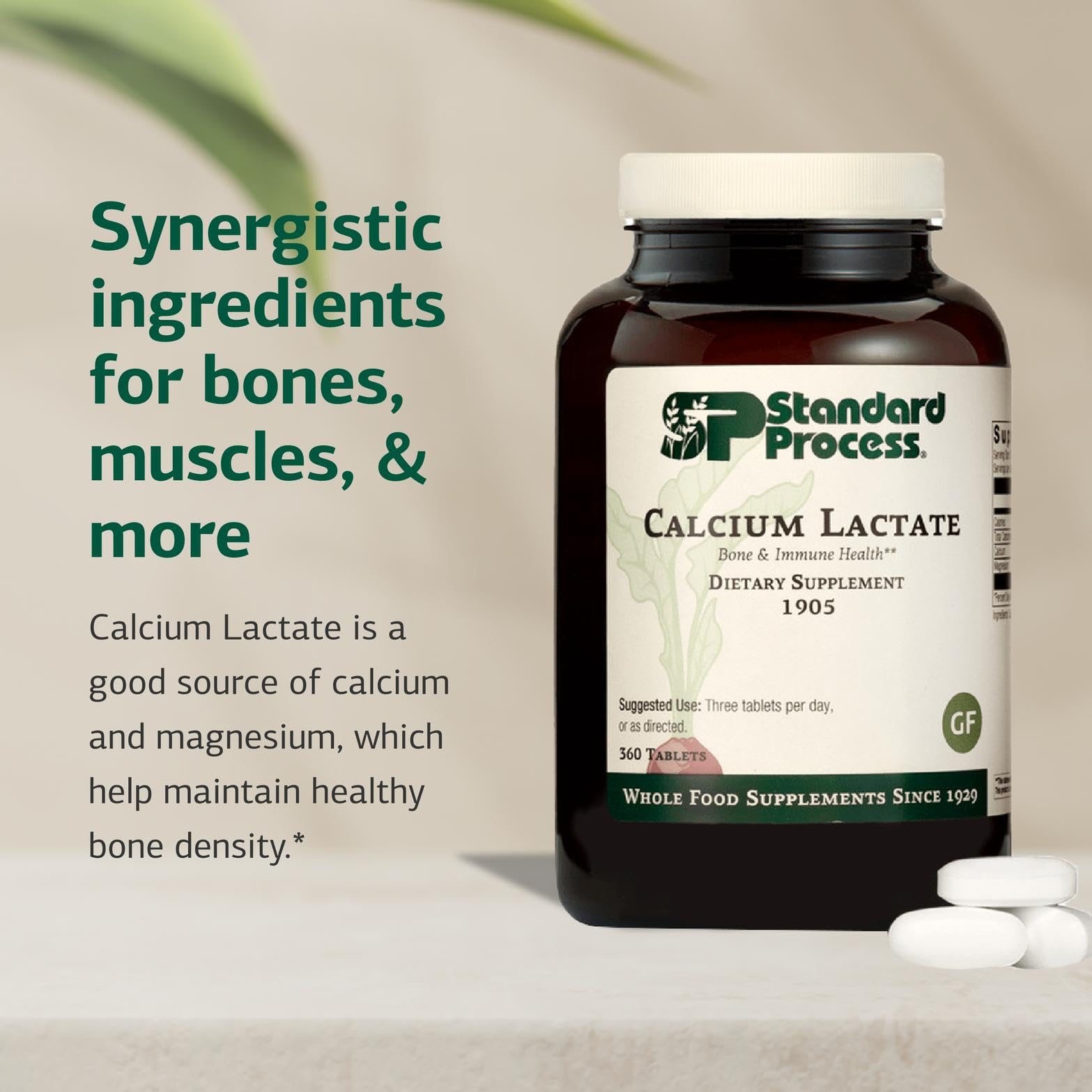 Standard Process Calcium Lactate, Bone & Immune Supplement, 360 Tablets — Amazon image 3
