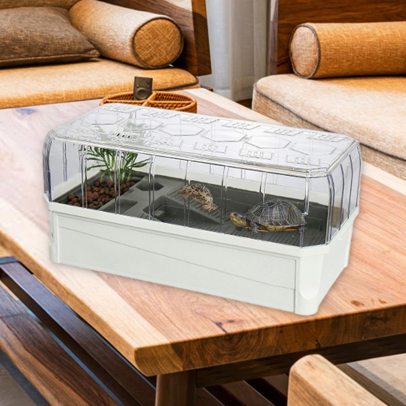 Acuario para Tortugas | Caja de Hábitat Interior Multiusos con Filtro | Hábitat Natural para Hierba Blanca